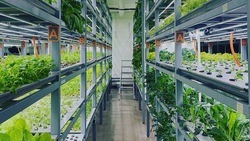 Белгородцы получат грантовую поддержку на развитие своих агростартапов 
