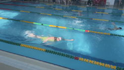 Чемпионат области по плаванию стартовал в Шебекино