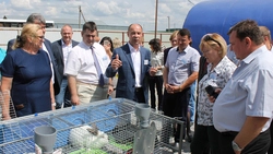 Аграрии области обсудили вопросы социально-экономического развития сельских территорий