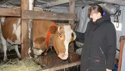 Семья из шебекинского села Верхнее Берёзово заключила соцконтракт на ведение ЛПХ