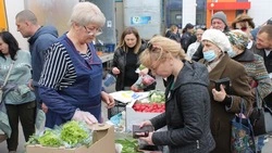Очередная сельскохозяйственная ярмарка прошла в Шебекино 