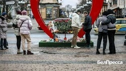 Вячеслав Гладков: 236 белгородских семей получили выплаты за погибших жителей с начала СВО