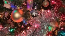 Белгородский врач рассказала, как встретить Новый год и остаться здоровым