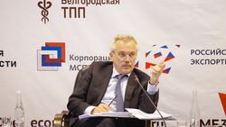Член группы по подготовке поправок в Конституцию поддержала обращение Евгения Савченко
