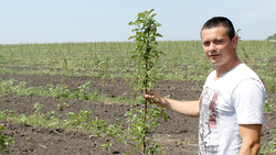 Фермер Антон Чмирев: «Когда работа по душе, результат всегда будет»
