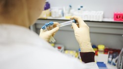 Белгородцы смогут бесплатно сдать тест на антитела к COVID-19