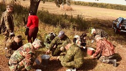 Специалисты собрали 300 кг семян дуба в рамках акции «Жёлудь Белогорья» в Шебекино