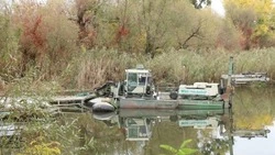 Специалисты расчистят участок реки Короча в Шебекинском округе