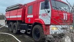 Вячеслав Гладков: белгородское управление МЧС стало лучшим в стране по итогам 2024-го