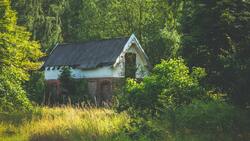Белгородские власти зарегистрировали более 800 ранее брошенных дома с землёй за год