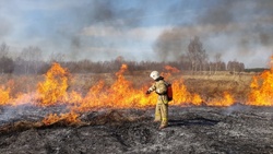 Пожарные потушили возгорание протяженностью 4 тыс. кв. м в Шебекинском городском округе