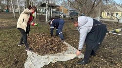 Большой субботник прошёл в Шебекинском округе