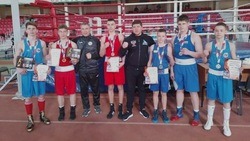 Шебекинские боксёры завоевали медали в областных соревнованиях 