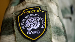 Вячеслав Гладков рассказал о покупке 12 грузовиков для отрядов «Барс-Белгород» и СГУП «Орлан»