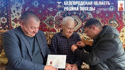 Шебекинские труженики тыла получили награды