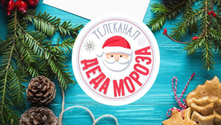 Телеканал Деда Мороза и «Интерактивное ТВ» от «Ростелекома» создут новогоднее настроение