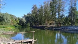 Вячеслав Гладков сообщил о возобновлении очистки русел рек и прудов в Белгородской области