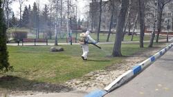 Вячеслав Гладков поручил обработать от клещей парки и места массового пребывания людей