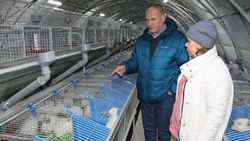 Специалисты используют новые технологии для выращивания кроликов в селе Никольское
