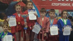 Шебекинские самбисты завоевали очередные награды