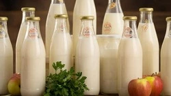 Валовое производство молока в Белгородской области выросло в 2025 году