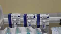Массовая вакцинация продолжилась в Шебекинском городском округе