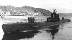 Поисковики нашли останки моряка-шебекинца на дне Балтийского моря