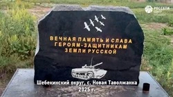 Энергетики восстановили мемориал героям СВО в Новой Таволжанке