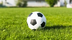 Шебекинский «Химик – Премиксы» сыграл  матч с командой «Белгород» вничью