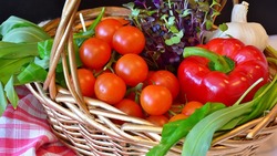 Белгородские аграрии смогут реализовывать продукцию непосредственно на территории ферм