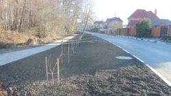 Шебекинцы оценили благоустройство дорог и тротуаров в городе