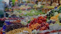 Шебекинцы смогут купить на продовольственных ярмарках продукты с минимальными наценками