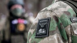 Вячеслав Гладков рассказал о зарплате бойцов батальона «Барс-Белгород»