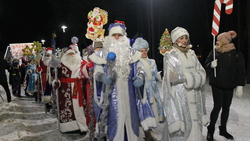 Торжественное открытие главной новогодней ёлки состоялось в Шебекино