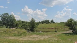Не забывают родные места. Жители бывшего хутора Сиротино встретились снова
