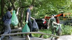 Участники субботника очистили рощу от мусора по принципу раздельного сбора ТКО
