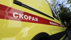 Вячеслав Гладков рассказал о передаче шести авто скорой помощи «Барсу» и «Орлану»