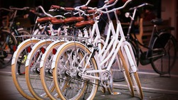Власти начнут строительство велодорожек в Белгородской агломерации летом