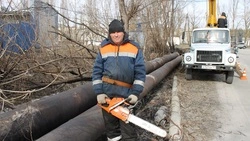 Причастен к благоустройству города. Алексей Филиппов стал профессионалом своего дела