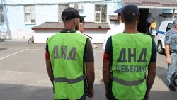  15 народных дружин приступили к работе в Шебекинском городском округе