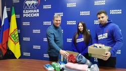 Благотворительная акция «Серебряная ёлка» стартовала в Шебекинском городском округе