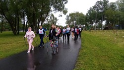 Соревнования по скандинавской ходьбе прошли в Шебекино