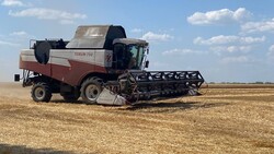 Белгородские аграрии собрали более 1 млн тонн зерновых культур