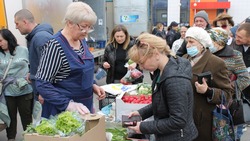 Очередная сельскохозяйственная ярмарка прошла в Шебекино 