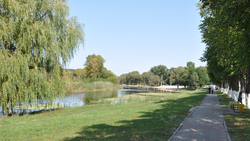 Шебекино пляж