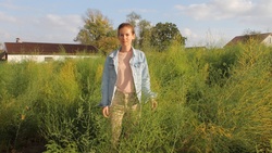 Фермер из Шебекино Екатерина Бахарева занялась выращиванием спаржи