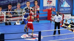Чемпионат Белгородской области по боксу стартовал в Шебекино