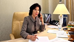 Елена Романенко провела дистанционный приём граждан