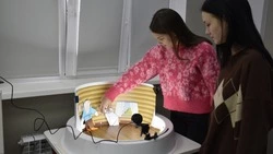 Мультипликационная студия открылась в шебекинской библиотеке