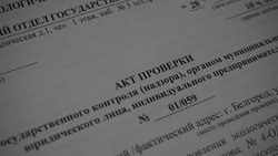 Белгородские экологи проверят 250 юрдиц и ИП на соблюдение требований законодательства